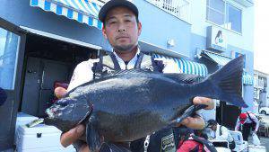 伊豆下田フィッシング 釣果