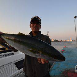 アジアマリンサービス 釣果