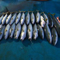 アジアマリンサービス 釣果