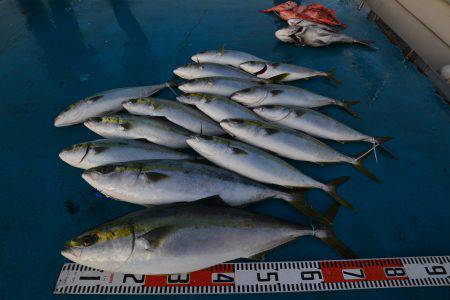 アジアマリンサービス 釣果