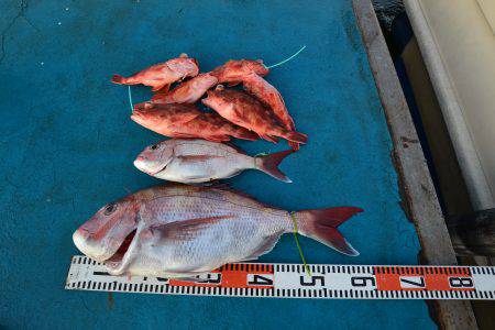 アジアマリンサービス 釣果