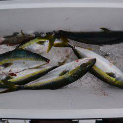 アジアマリンサービス 釣果