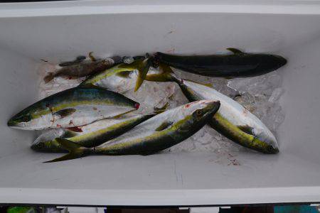 アジアマリンサービス 釣果