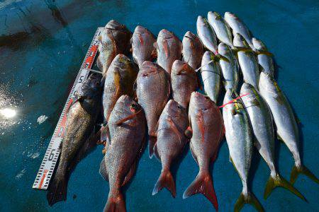 アジアマリンサービス 釣果