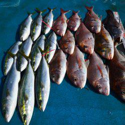 アジアマリンサービス 釣果