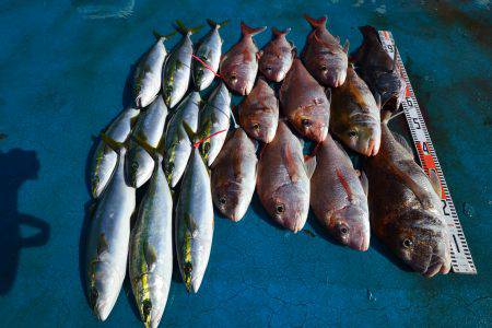 アジアマリンサービス 釣果