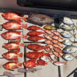 さぶろう丸 釣果