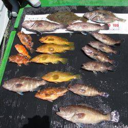 海宝丸 島根 釣果