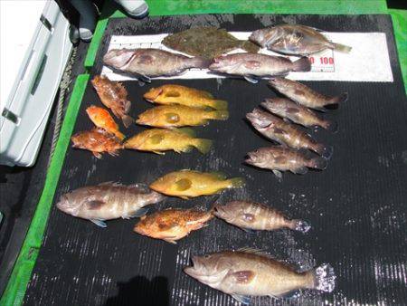 海宝丸 島根 釣果