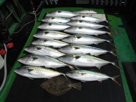 海宝丸　島根 釣果