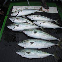 海宝丸 島根 釣果