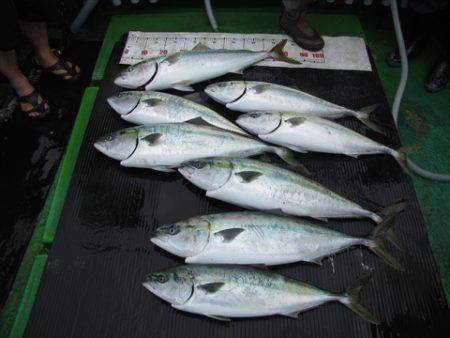 海宝丸　島根 釣果