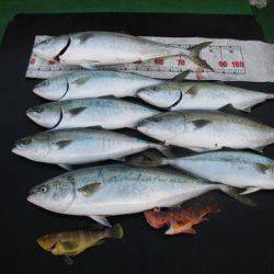 海宝丸 島根 釣果