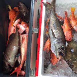 Sea Frend 片山丸 釣果