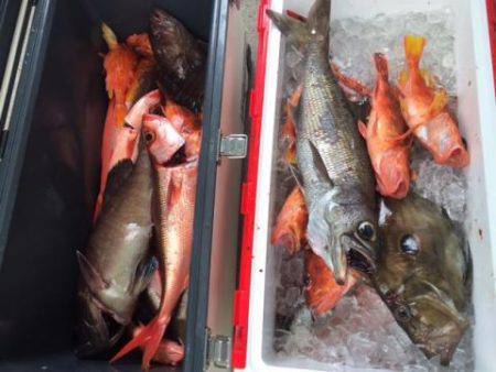 Sea Frend 片山丸 釣果