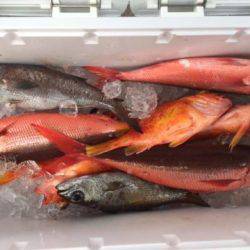 Sea Frend 片山丸 釣果