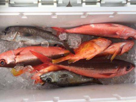 Sea Frend 片山丸 釣果