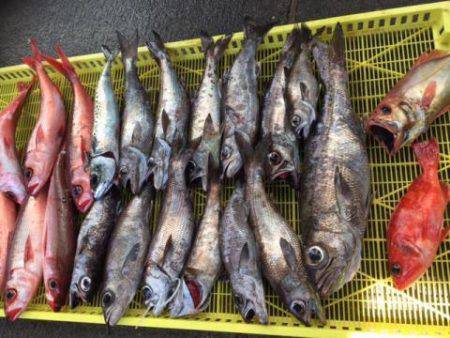 Sea Frend 片山丸 釣果