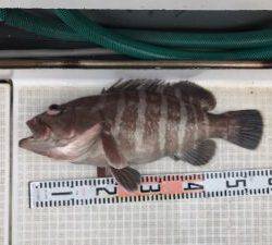 さぶろう丸 釣果