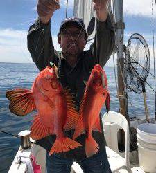 さぶろう丸 釣果