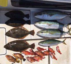 さぶろう丸 釣果