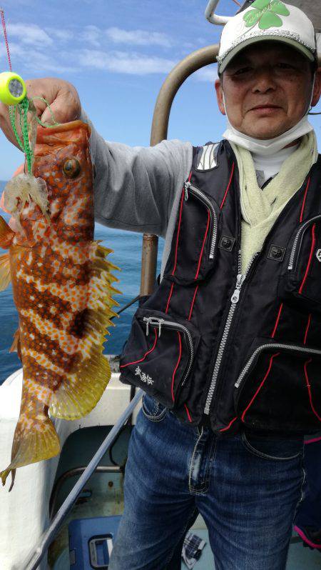 リトルワン 釣果