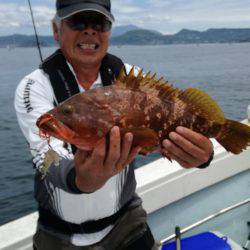 リトルワン 釣果