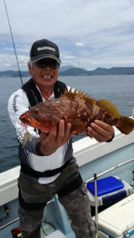 リトルワン 釣果