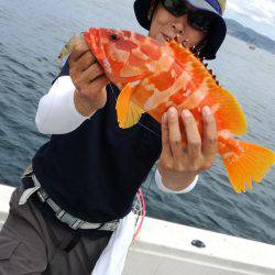 リトルワン 釣果