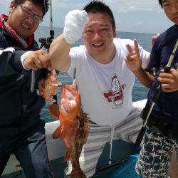 リトルワン 釣果