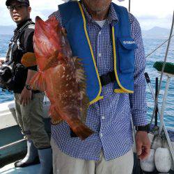 リトルワン 釣果