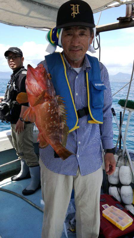 リトルワン 釣果