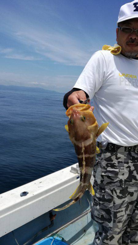 リトルワン 釣果