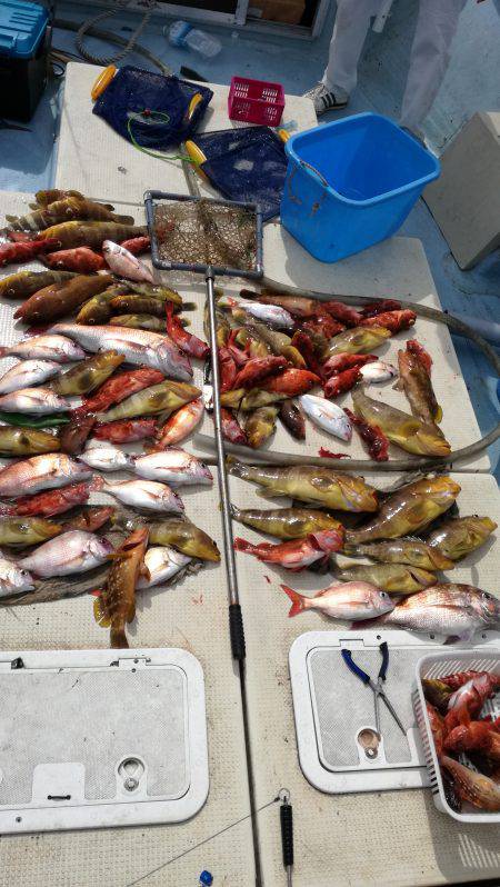 リトルワン 釣果