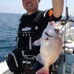 リトルワン 釣果