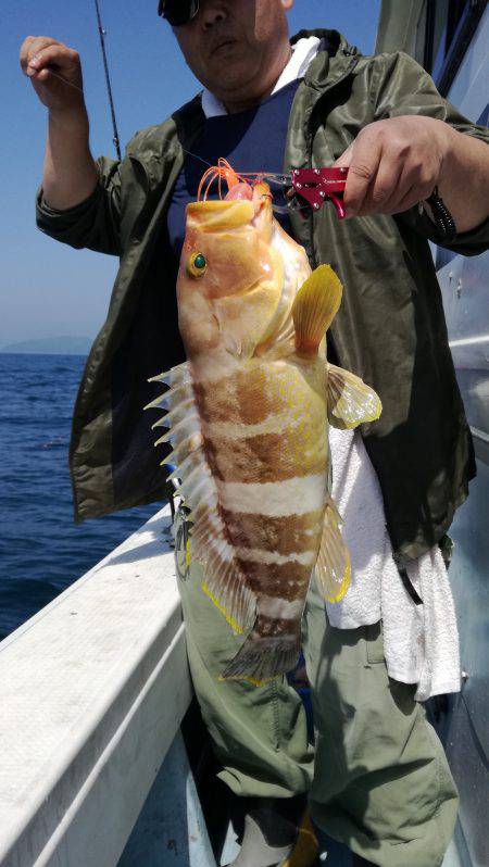 リトルワン 釣果