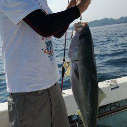 リトルワン 釣果