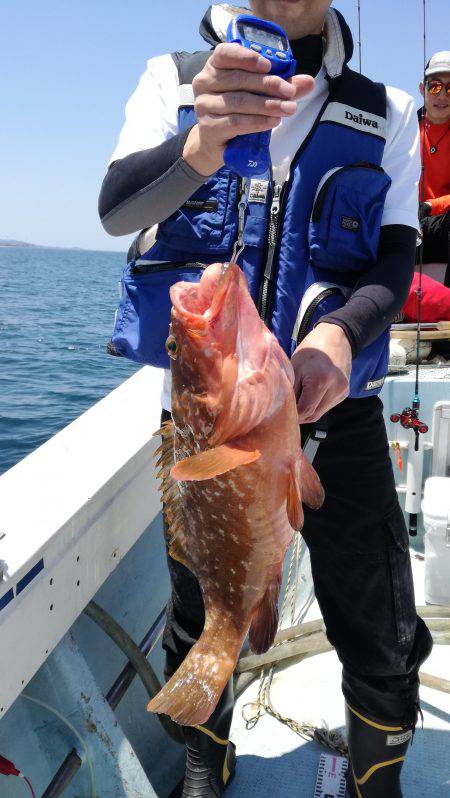 リトルワン 釣果