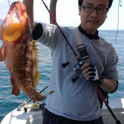 リトルワン 釣果