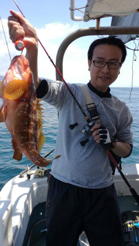 リトルワン 釣果