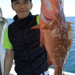 リトルワン 釣果