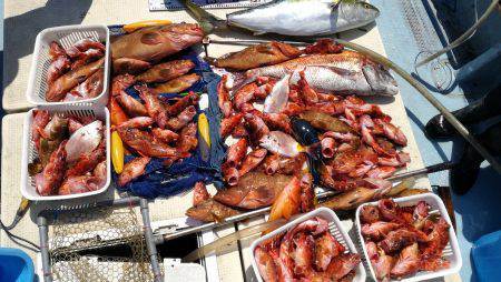 リトルワン 釣果