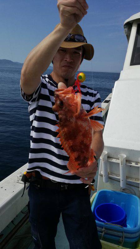 リトルワン 釣果