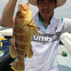 リトルワン 釣果