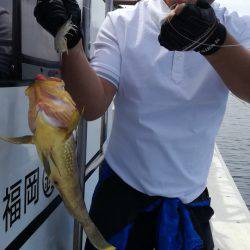 リトルワン 釣果