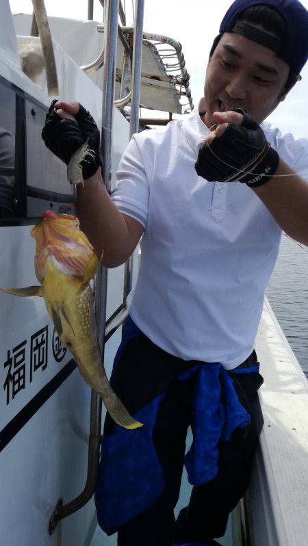 リトルワン 釣果