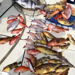 リトルワン 釣果