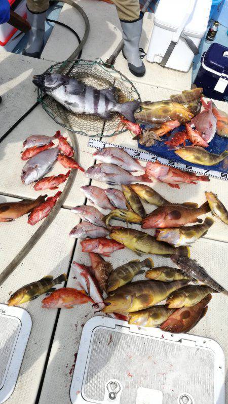 リトルワン 釣果