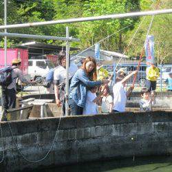 安倍川・藁科川（安倍藁科川漁業協同組合） 釣果