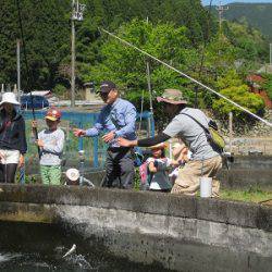 安倍川・藁科川（安倍藁科川漁業協同組合） 釣果